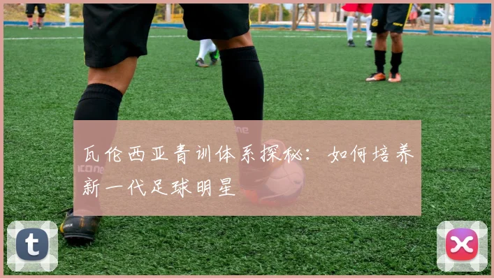 瓦伦西亚青训体系探秘：如何培养新一代足球明星